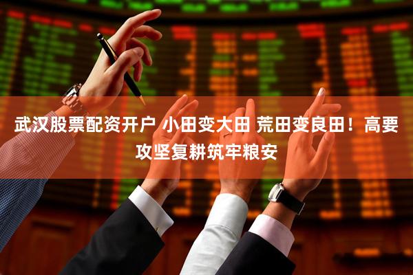 武汉股票配资开户 小田变大田 荒田变良田！高要攻坚复耕筑牢粮安