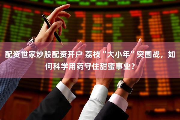 配资世家炒股配资开户 荔枝“大小年”突围战，如何科学用药守住甜蜜事业？